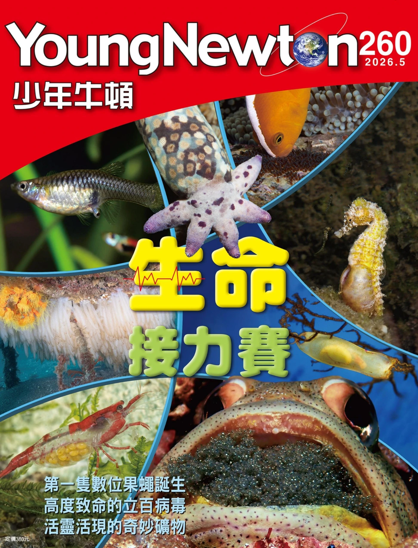 少年牛頓 2026年5月 PDF