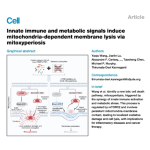 326-免疫代谢驱动线粒体过氧裂解