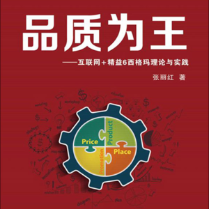 9.品质为王:互联网+精益6西格玛理论与实践》