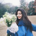 希尔星圆圆的松节