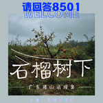 26·石榴树下｜广东佛山活埋案