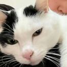 号主我狠狠复活_Zoe