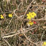 啦啦啦啦来了来了