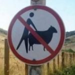 好好学习天天玩