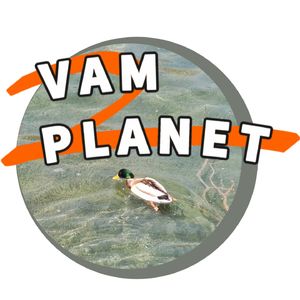 Vam Planet