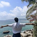 这儿有一只喵