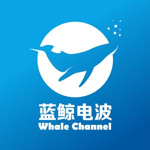 蓝鲸电波Leo