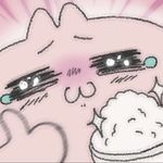 我是帆帆