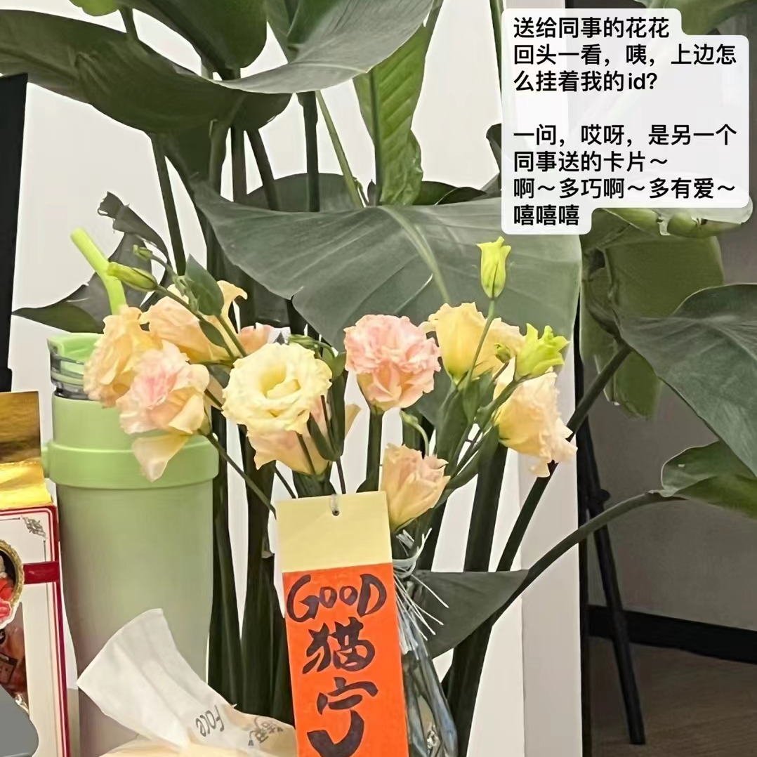 cover of episode EP40-与猫宁的能量交换的爱情故事|工作中的努力价值|被惦记中的工作爱情伙伴