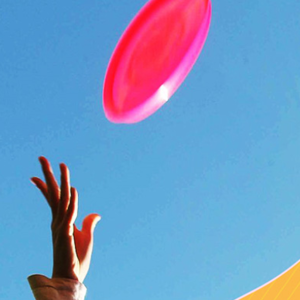 飞盘、露营、观鸟……当年轻人开始“报复性出门”