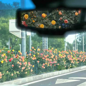 Vol.52 春日漫游指南：把这些BGM装进你的踏青行囊