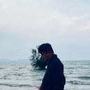 Zz丿