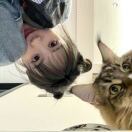 猫233333