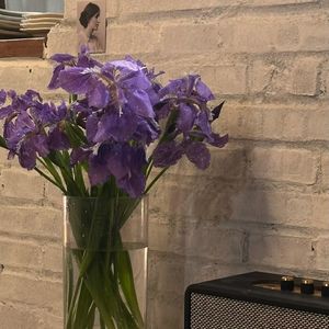 43.Playlist ｜四月听歌小结：紫鸢尾、交换的酒杯、午夜麻辣烫店