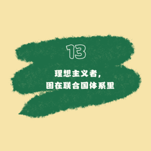 13 理想主义者，困在联合国体系里