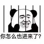 你怎么也进来了