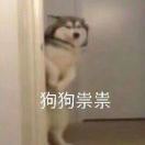 象脸一红