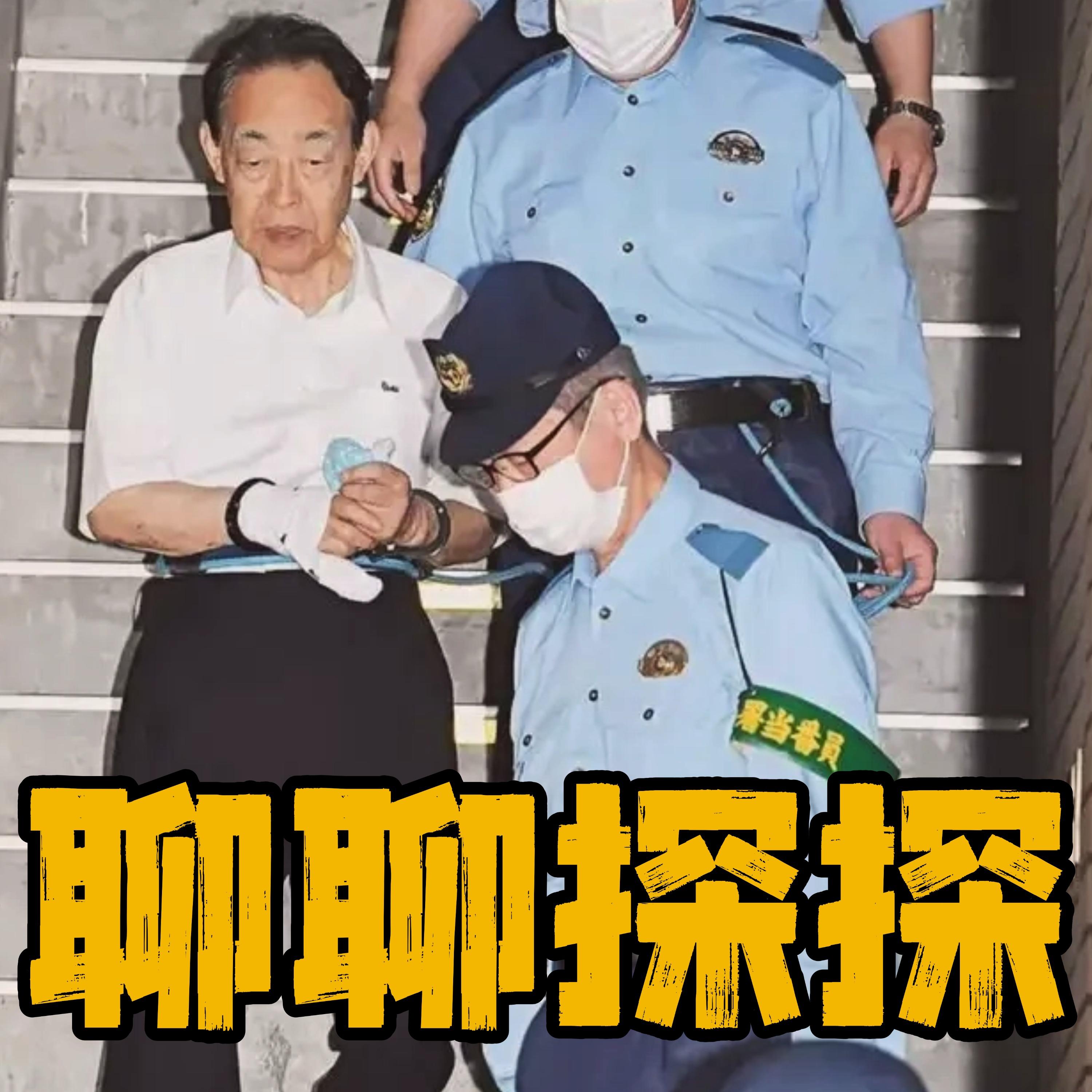 19.背光而活--日本蛰居族案件两则：川崎惨案与一位父亲的抉择 episode artwork