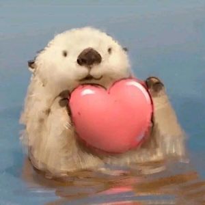 令人困惑的爱情