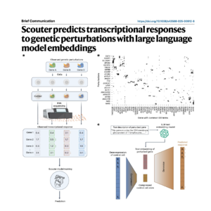 454-Scouter: Predicting Gene Perturbation Outcomes