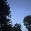 鱼白玉