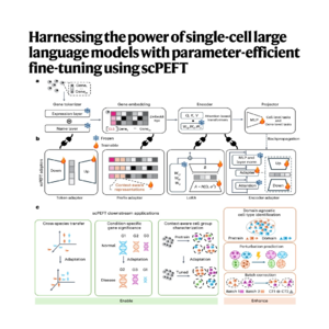 396-scPEFT: Fine-Tuning for Single-Cell Foundation Models