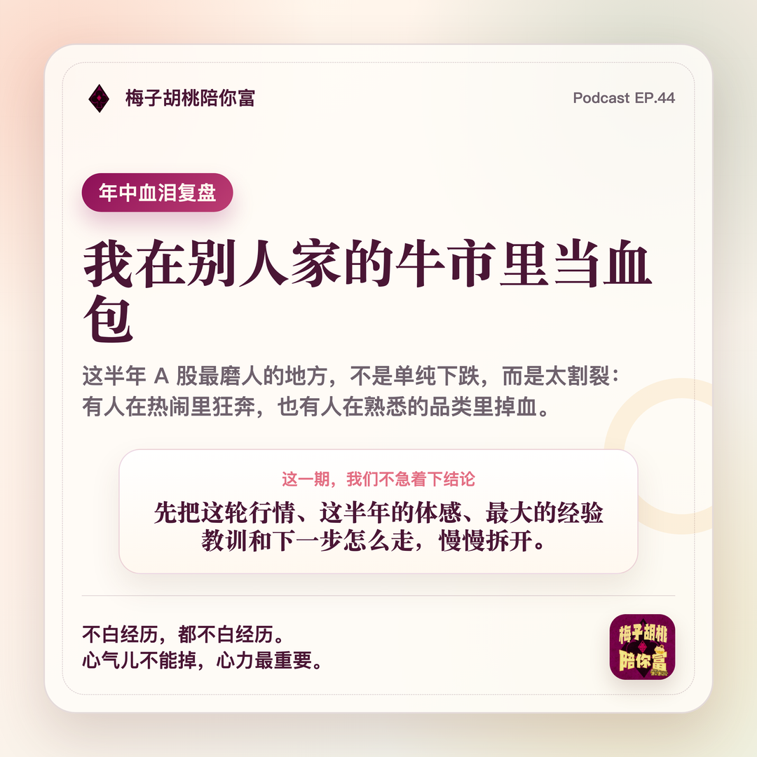 44.好歹毒的科技牛！我在别人家的牛市里当血包｜这半年高开低走的A股，狠狠给我上了一课 episode artwork