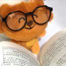 橘子树在哪儿_K6gO