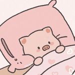 Momo正畸版_
