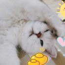 Yuee_m0gf