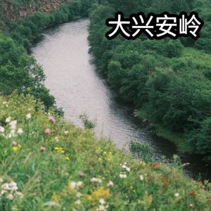 35. 夏天,就该去大兴安岭!秋天也去,冬天也去,春天也... ft. Younger旅行