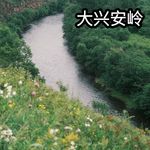 35. 夏天，就该去大兴安岭！秋天也去，冬天也去，春天也... ft. Younger旅行