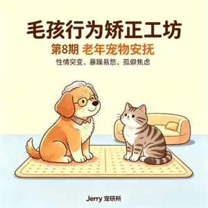【毛孩行为矫正工坊】 第 8 期 中老年宠物性情突变:暴躁易怒、孤僻焦虑安抚方案
