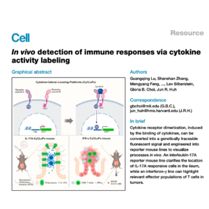 423-CyCLoPs: Monitoring In Vivo Cytokine Activity