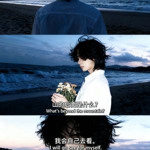 红楼梦（索隐派）解读