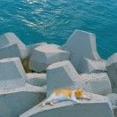 加油mike疯
