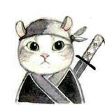 -猫少侠-