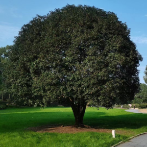 回访篇：离开体制前先去算命？到底行不行|回访柴柴