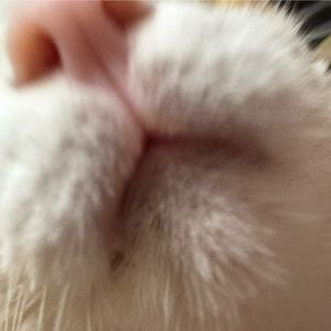 podcaster-avatar
