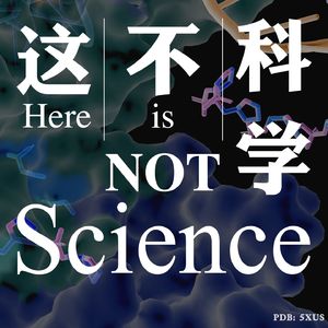 这不科学