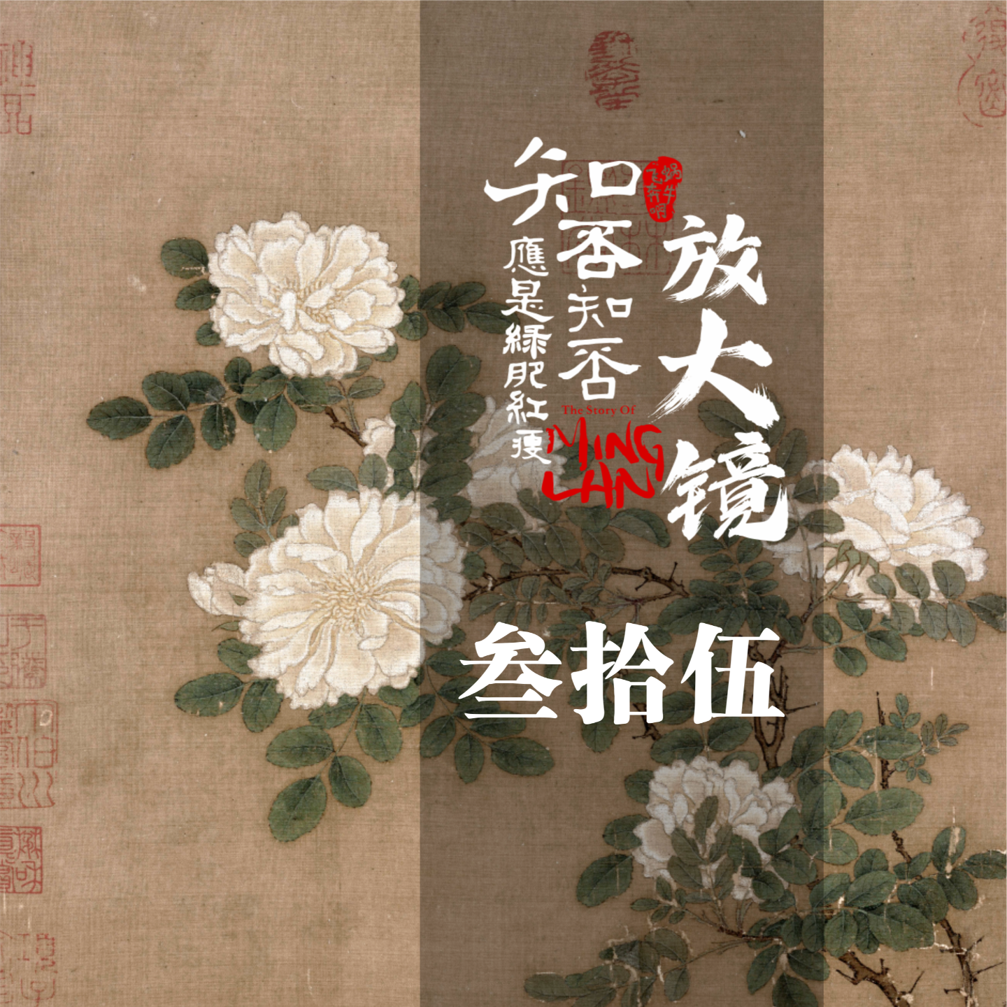 知否放大镜35： 金明池春光之下的隐藏 episode artwork