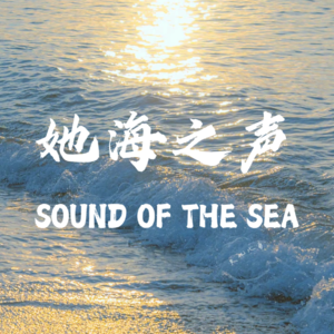 vol.10:她海之中·中国人不骗中国人,我们都爱算命