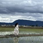 来信未晚