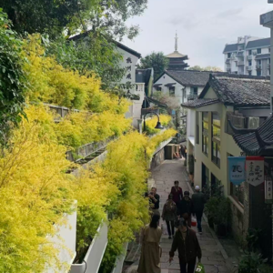 烤箱里小番茄排得整整齐齐,好平静啊