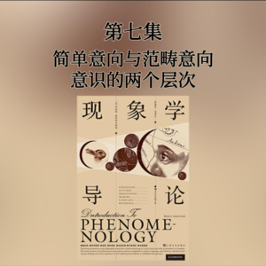 第七集 简单意向与范畴意向——意识的两个层次