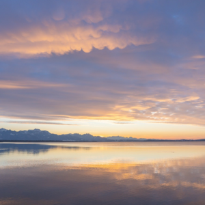 EP38 机器学习在利率市场中的应用