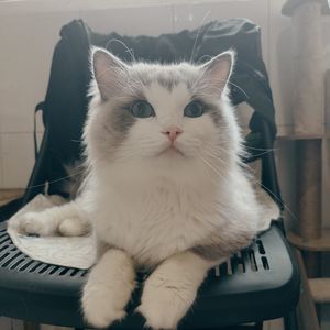 podcaster-avatar