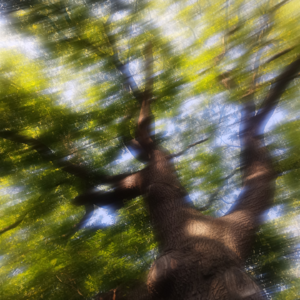 E01：毕业了，然后呢 | “天空和路一样远”