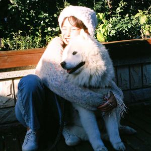 热心爱狗人士莫女士是也