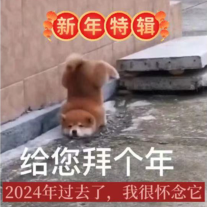 【新年特辑】2024年过去了，我很怀念它